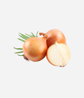 Brown Onion