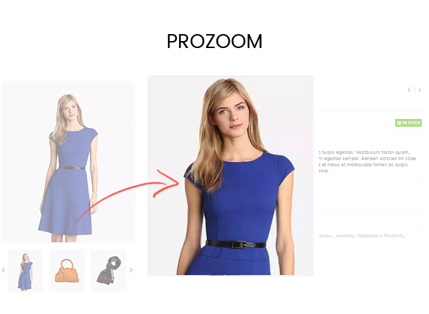 Electronic store website opencart